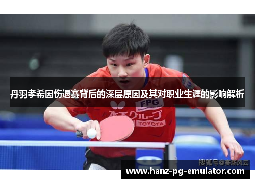 丹羽孝希因伤退赛背后的深层原因及其对职业生涯的影响解析
