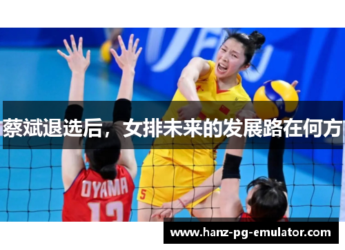 蔡斌退选后,女排未来的发展路在何方 蔡斌退选后,女排未来的发展路在何方