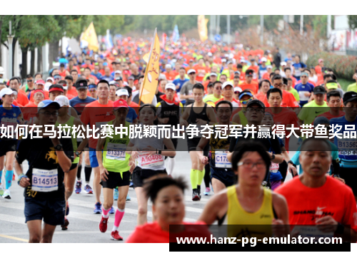 如何在马拉松比赛中脱颖而出争夺冠军并赢得大带鱼奖品