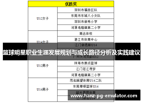 篮球明星职业生涯发展规划与成长路径分析及实践建议